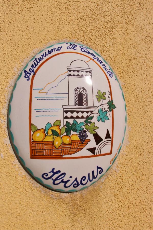Casa Ortensia Minori Zewnętrze zdjęcie